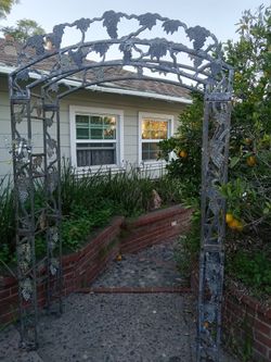 Arbor