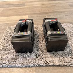 Powerblock Adjustable Dumbbells 