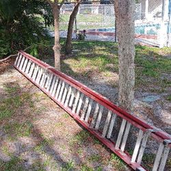 40 Ft Ladder