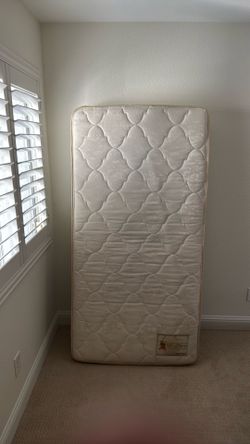 Free twin mattress