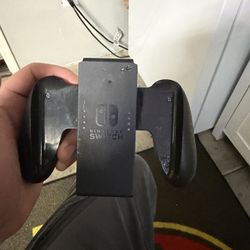 Nintendo Switch Accessory 