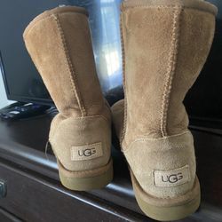 Classic Short UGGS ll 