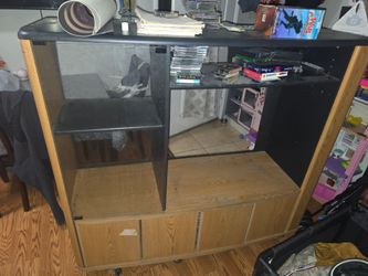 Entertainment Center Tv and Sound system