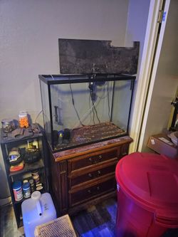35 gallon fish tank