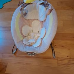 Fisher Price Babby Bouncer