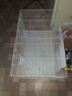 Bird cage