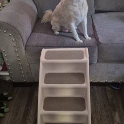Dog's Ladder
