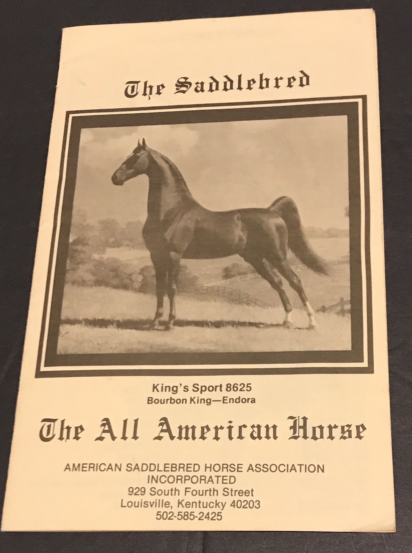 Wonderful “The Saddlebred-The All American Horse” Booklet