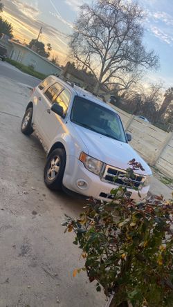 2011 ford escape