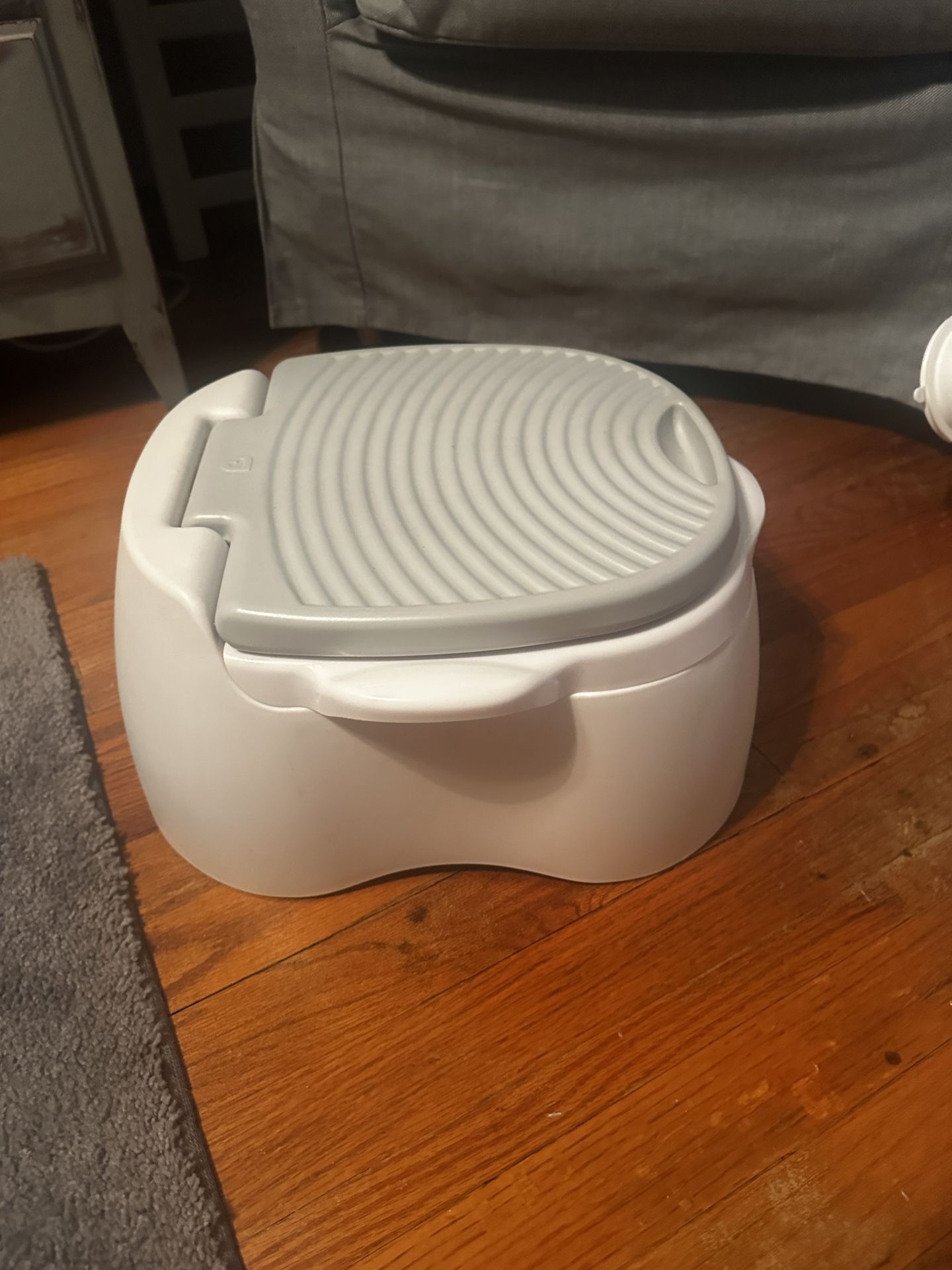 Potty Seat