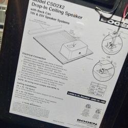 Ceiling wall speaker