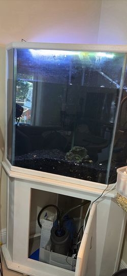 65 Gallon Fish Tank