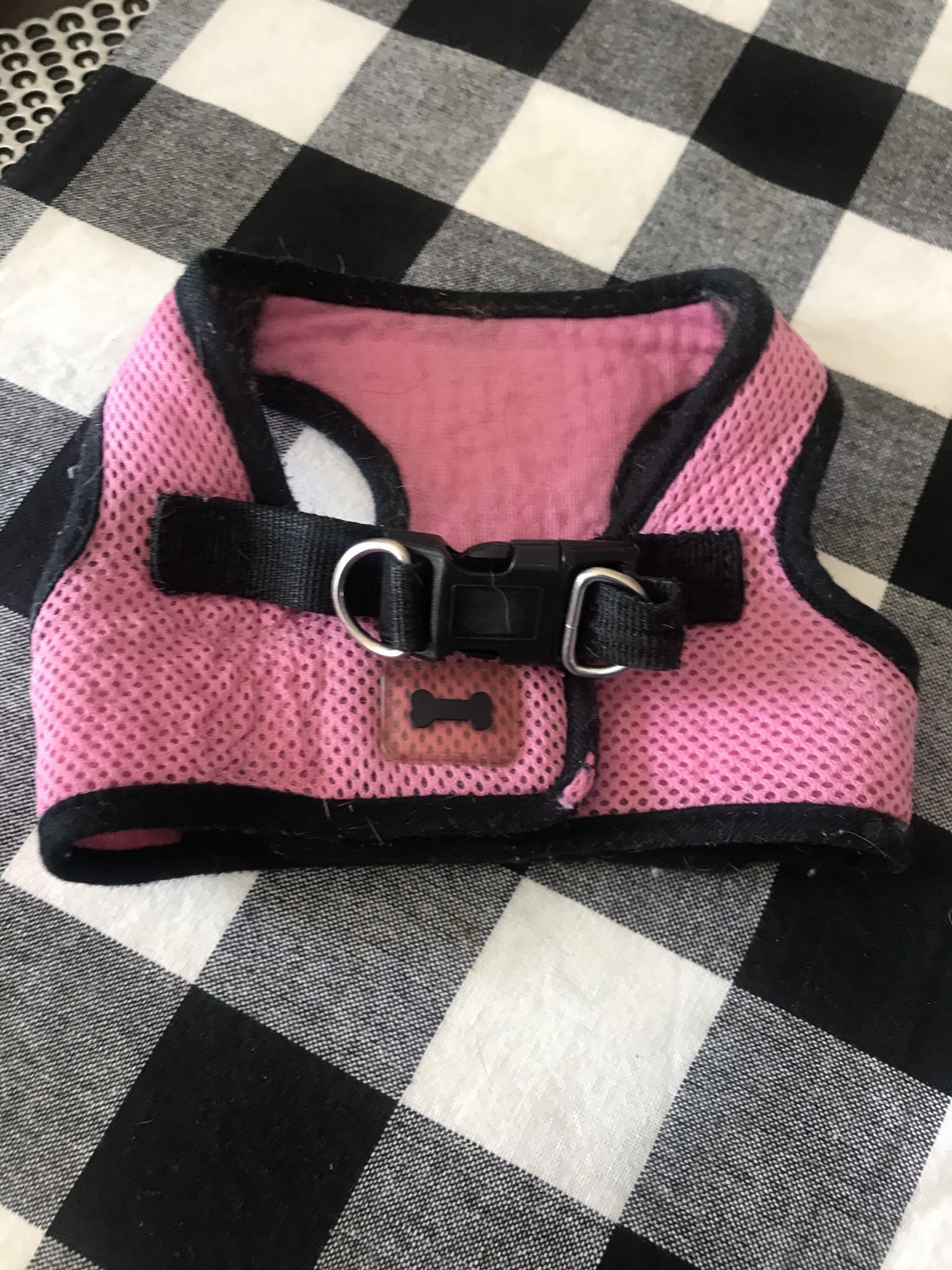 Dog Harness
