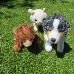 Stuffed Animal