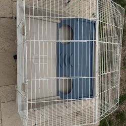 Guinea Pig Cage