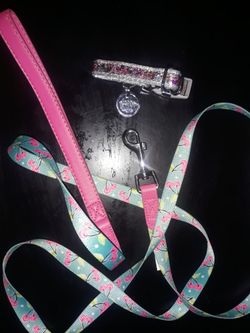 Dog Leash And Collar New