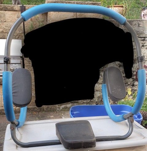 Ab Roller