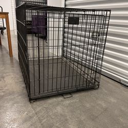 Dog kennel 