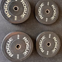 ROGUE ECHO BUMPER PLATES 230LBS SET FOR SALE - $400 OBO