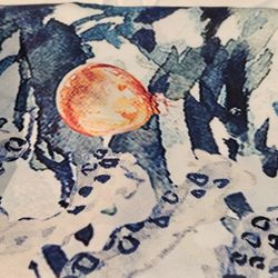 Costal Seashell Patteren Shower Curtain