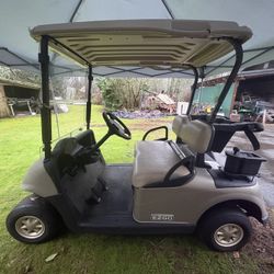 2012 EZGO RXV 48V Electric Golf Cart  – Garage Kept