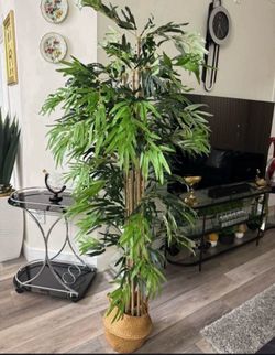 Pretty artificial bamboo tree 6 ft tall ! Brand new