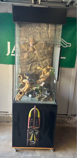 Terrarium Vivarium Reptile Enclosure