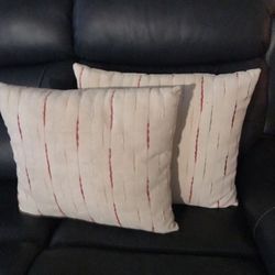 RTG pillows (2) $25
