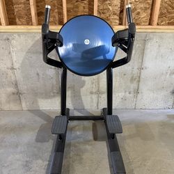 Life Fitness Signature Leg Raise / VKR with Bosu Back Pad  - Commercial Grade