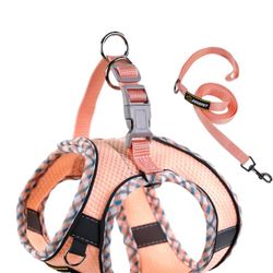 Adjustable Dog Harness and Leash Set for Small Medium Dogs, No Pull No Flats, Reflective Mesh Vest Harness for Walking, Running, Training, S with Pink