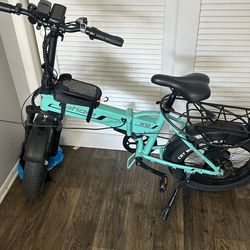 E bike