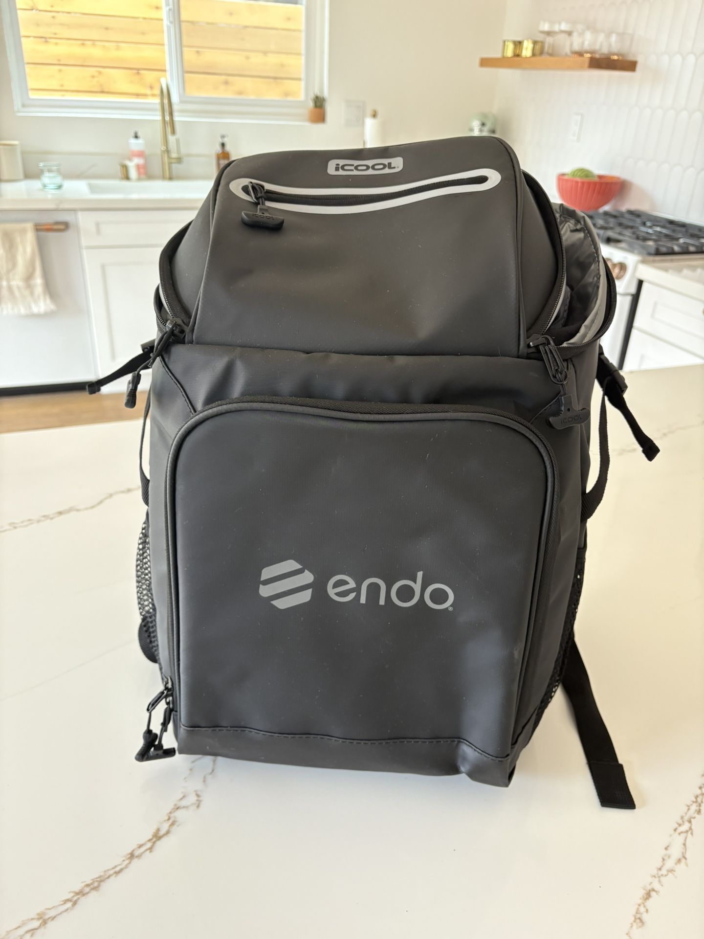 Backpack cooler