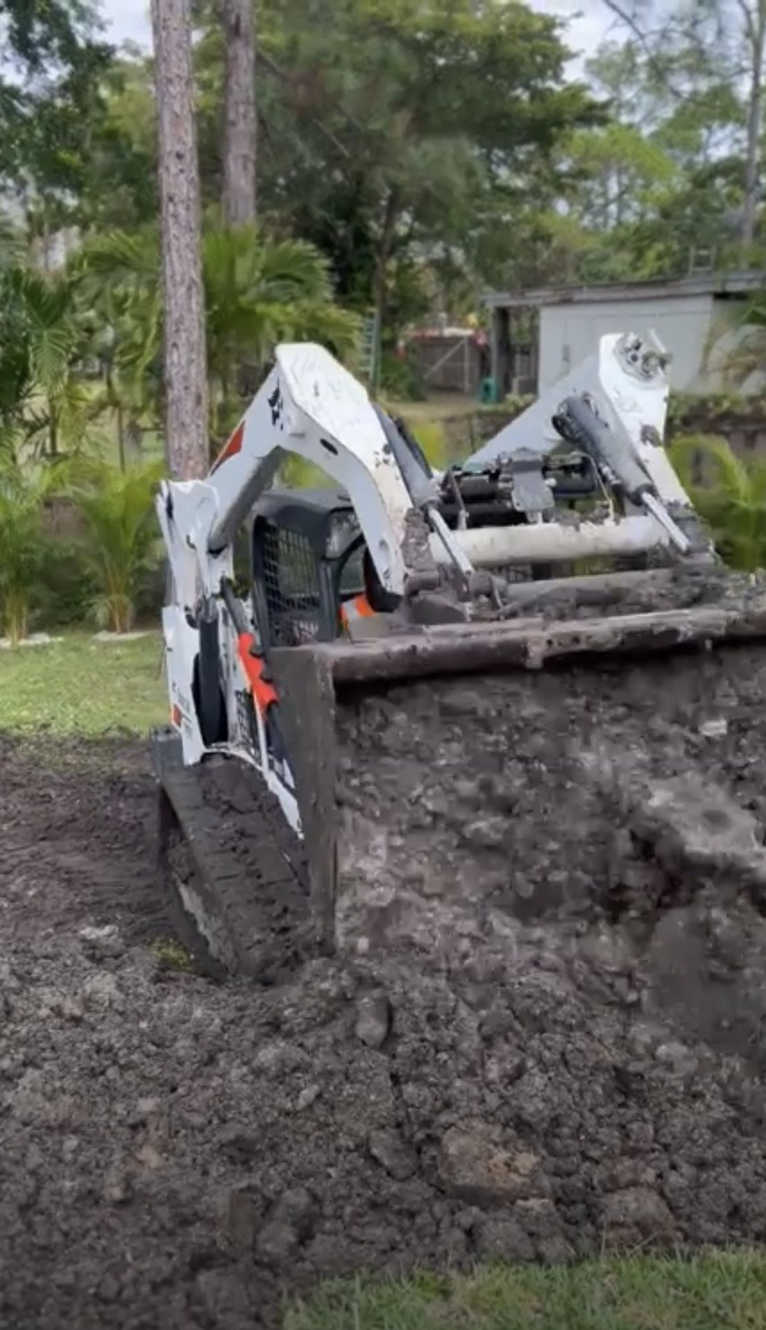 Bobcat, Dirt,Leveling
