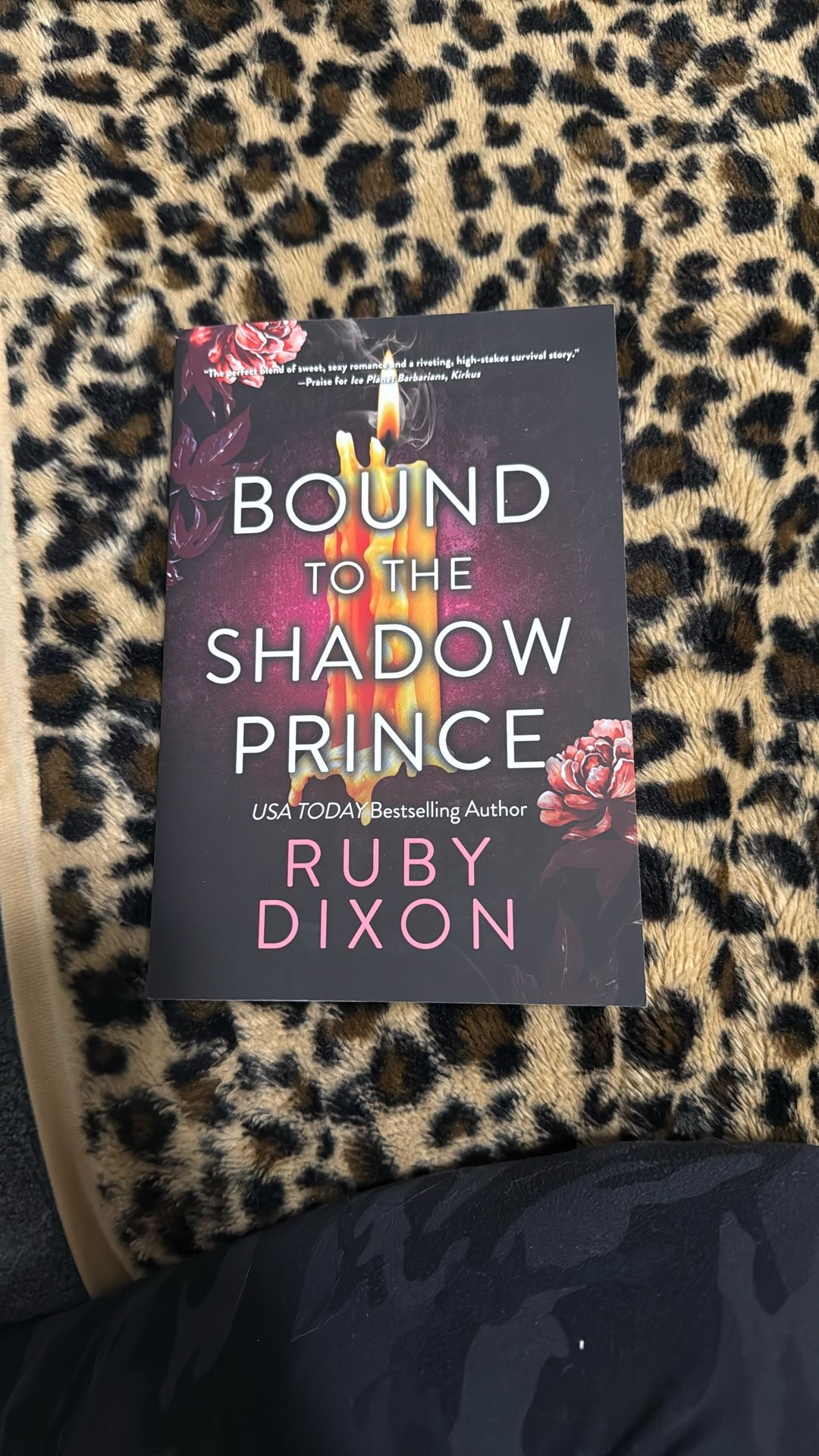 Bound To The Shadow Prince