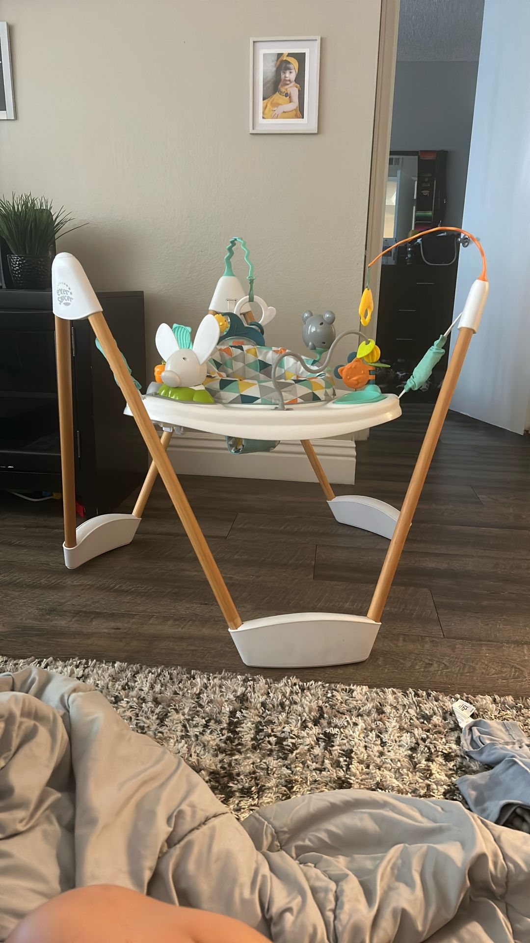 Evenflo Bouncer