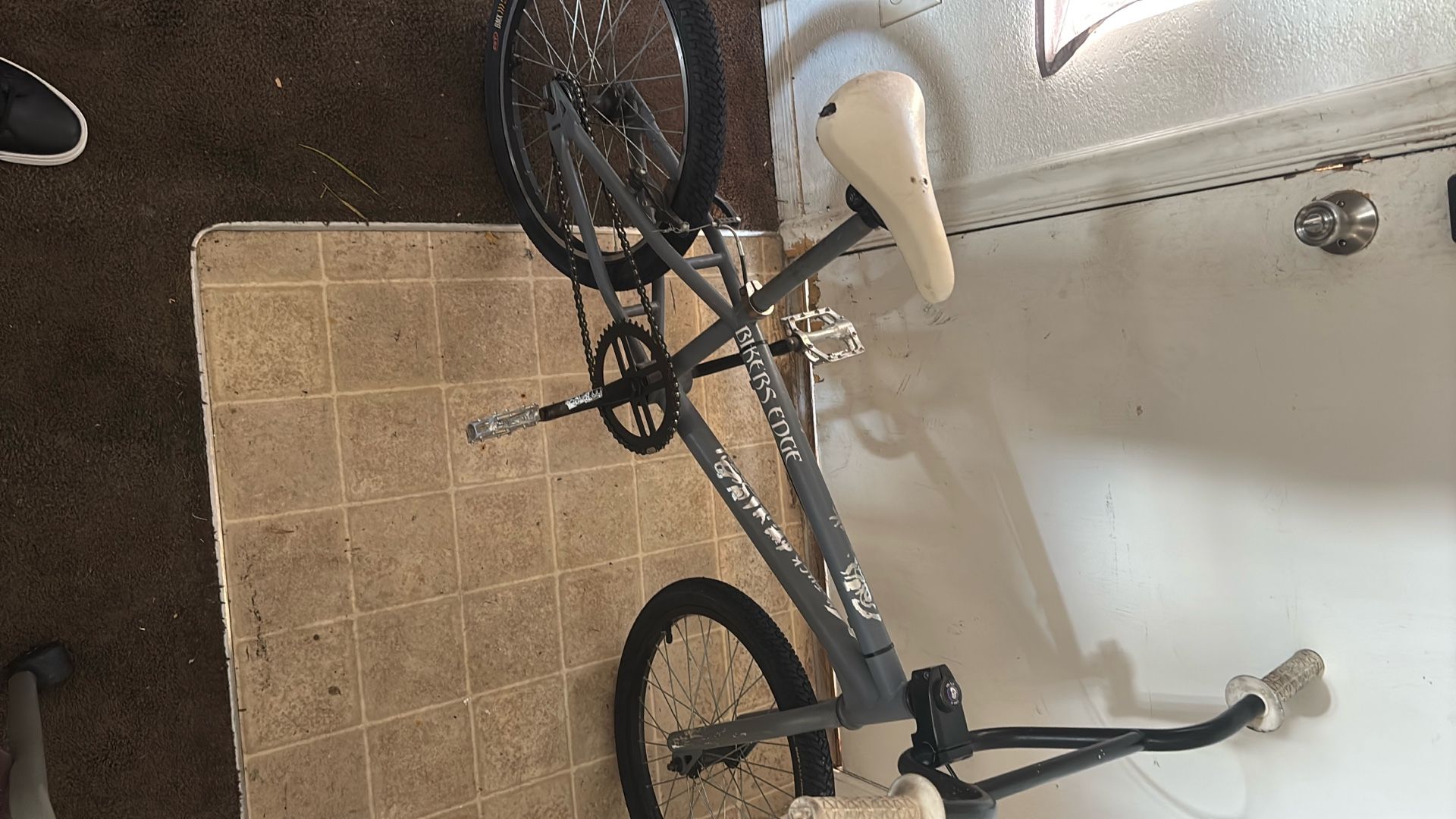 Limited Edition 20in Haro