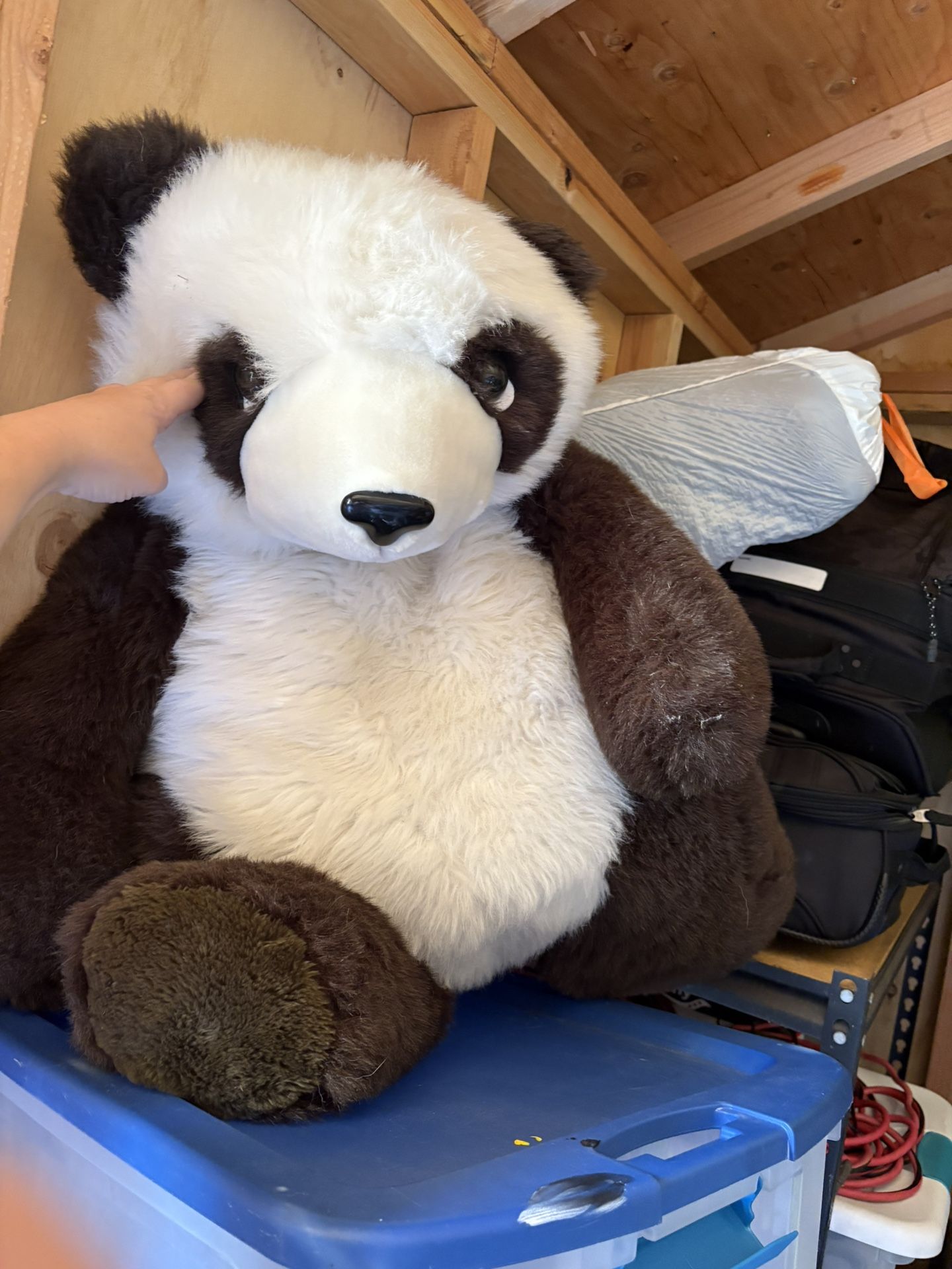 Giant Stuffed Panda