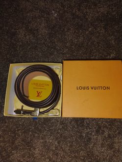 Brown and Gold Belt