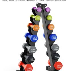 Hola Hatha Dumbbells Set