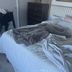 Professional Cleaner
