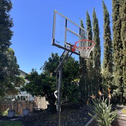 Basketball Hoop 