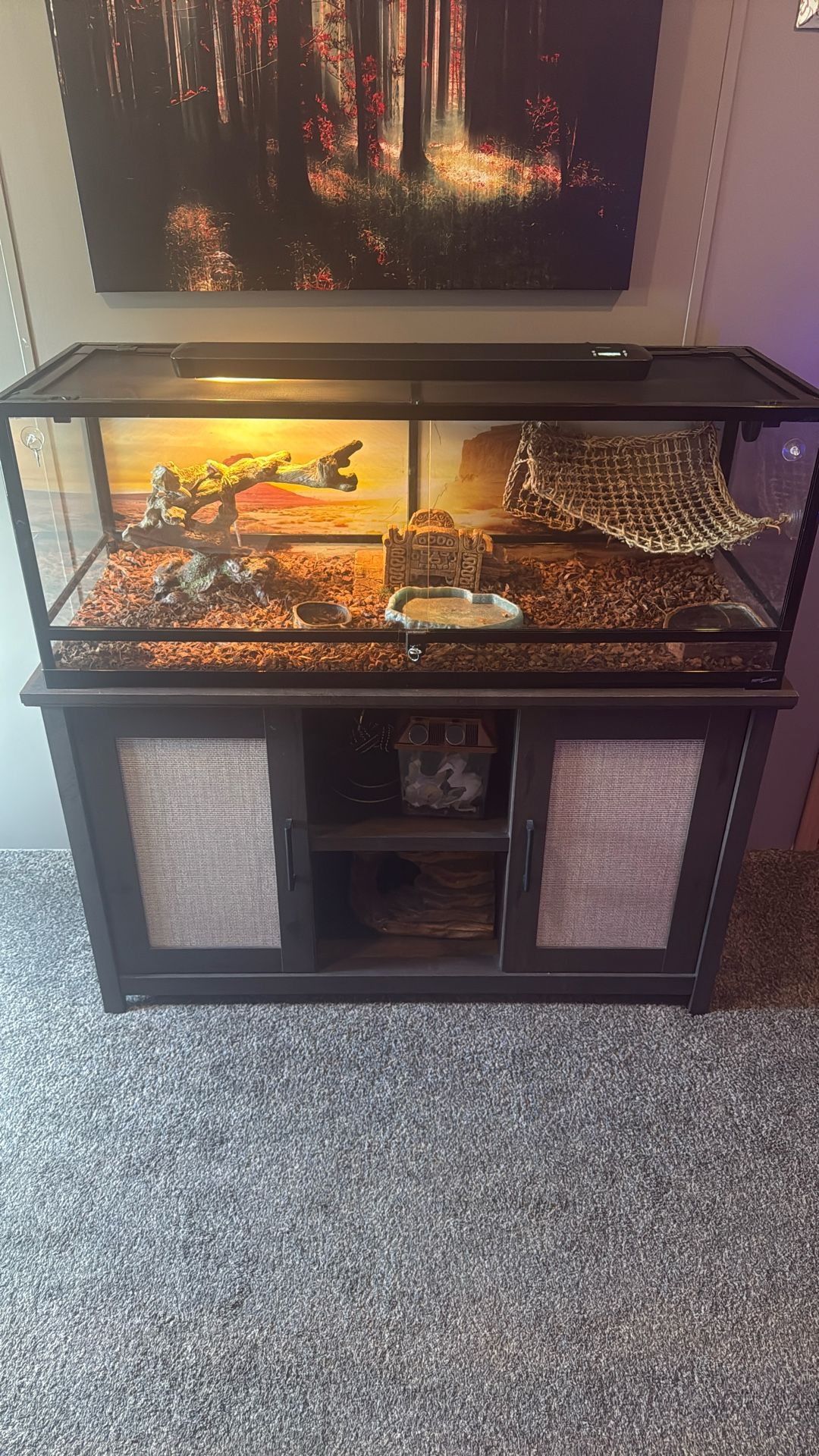 Full Aquarium And Stand