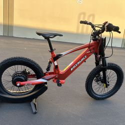 EVO16 Jumping Electric Dirt Bike, 500W Off-Road Electric Motocycle for 5-10, 18 Miles Long-Range, 3 Speed Modes, 36V Detachable Battery, Dual Brakes S