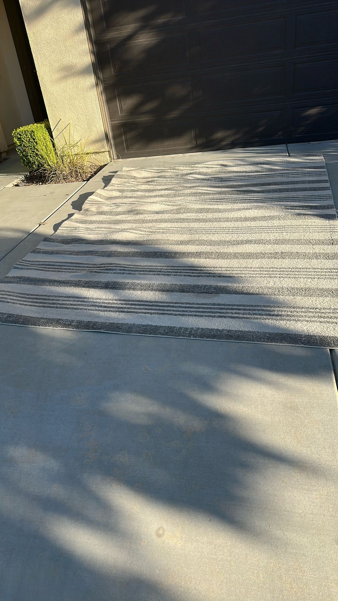 Free Rug