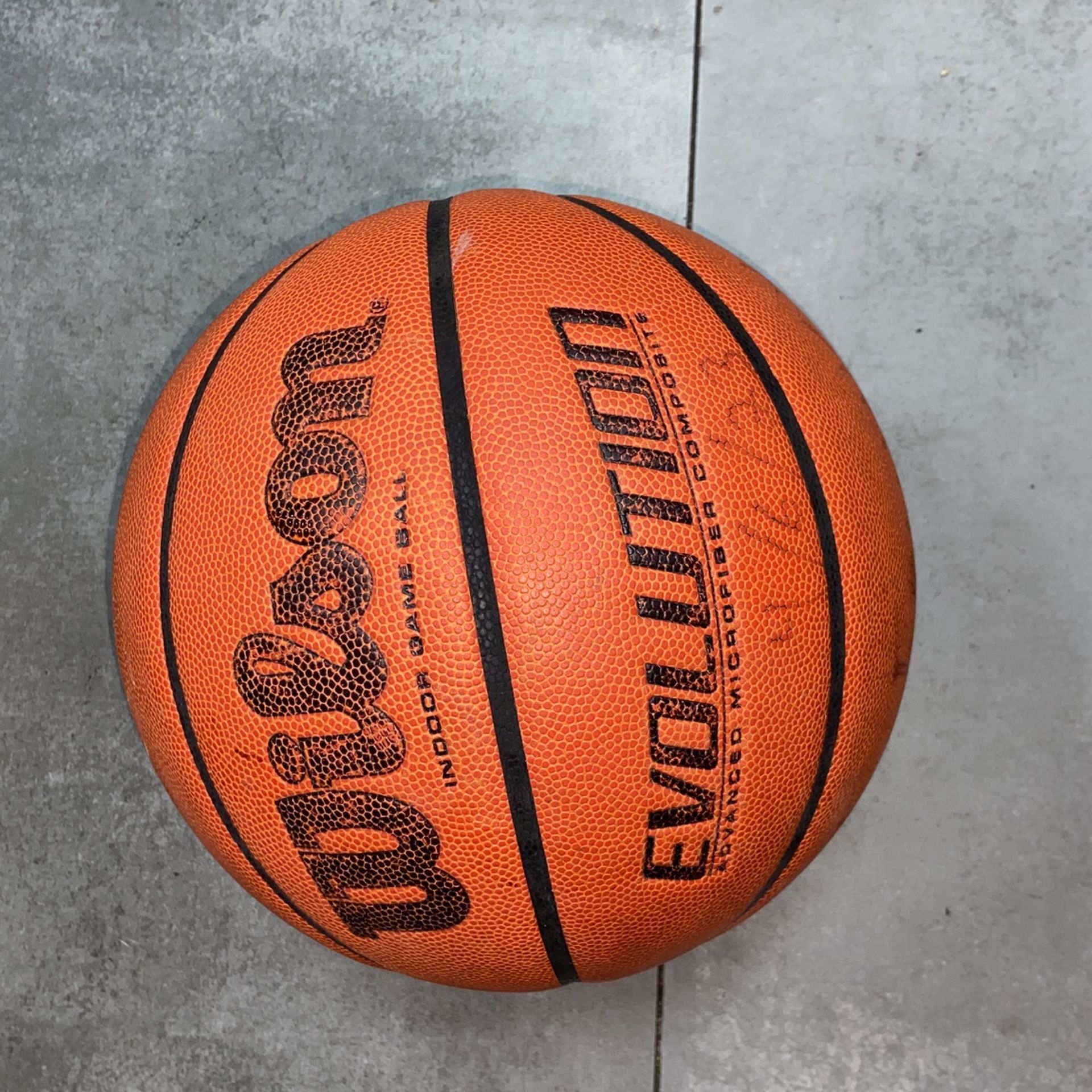 Wilson Evolution Indoor Basketball