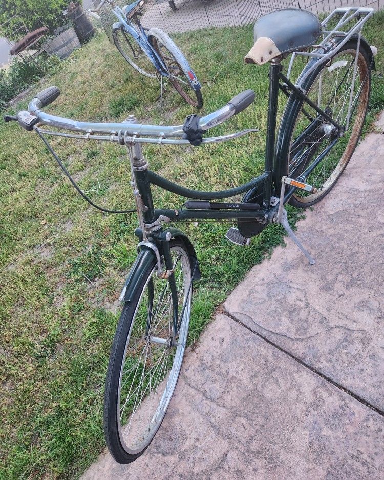 The Raleigh Vintage Girl Bike