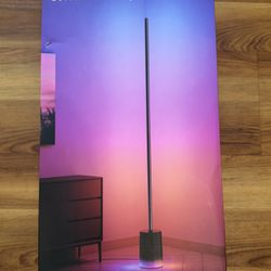 Govee Floor Lamp 2