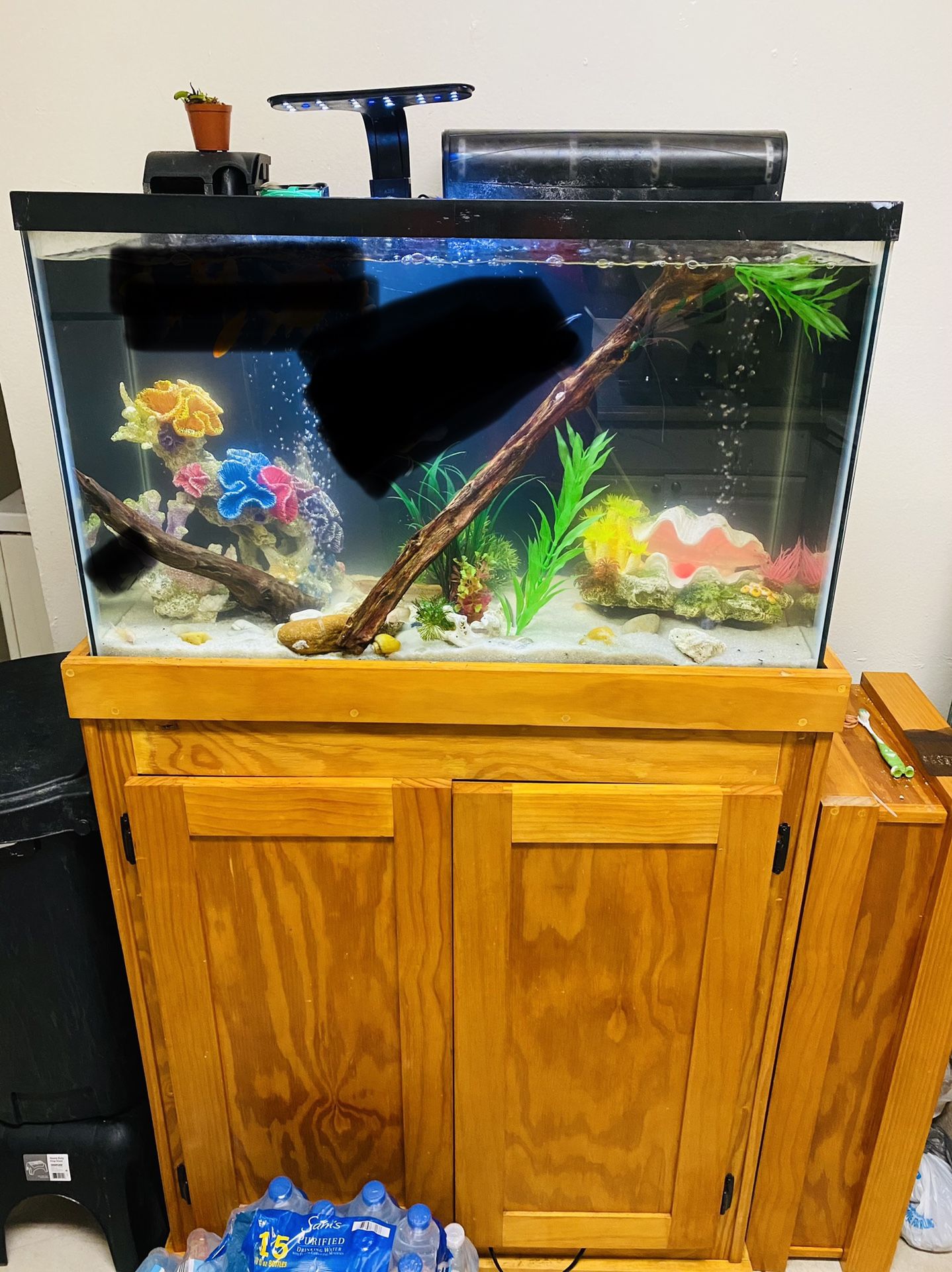 Fish tank /fresh water