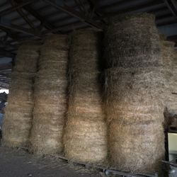 Round Bales For Sale $45  Also Available  Square Bales