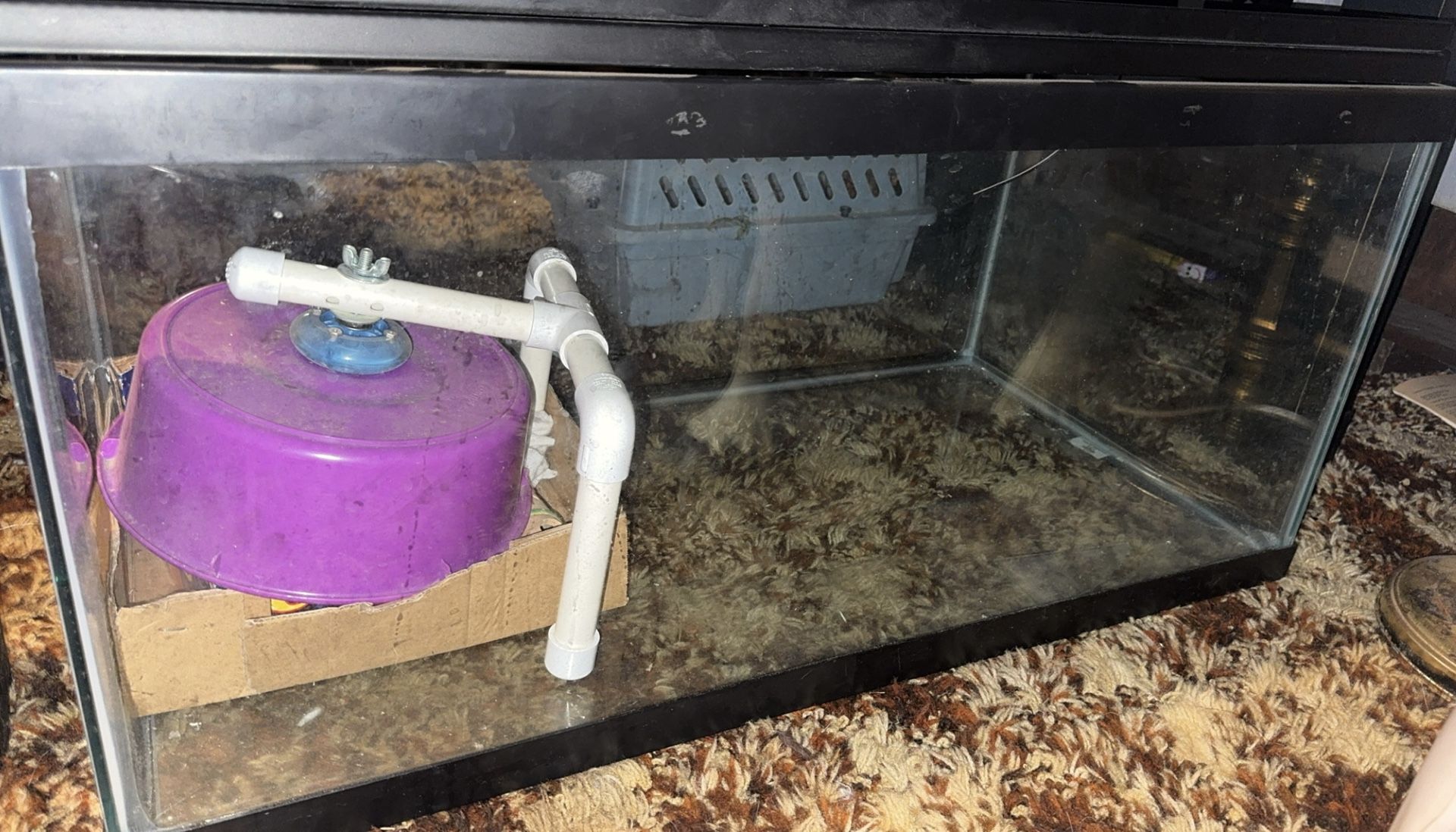 40 Gallon Critter Cage Tank